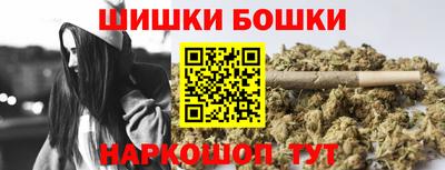 СК Пугачёв