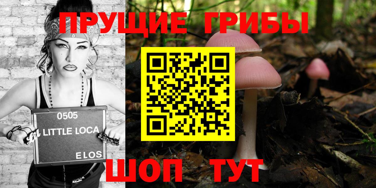 Галлюциногенные грибы Cubensis Рязань
