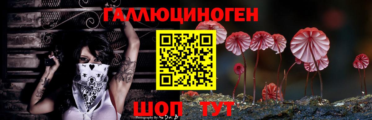 Псилоцибиновые грибы Cubensis  Вход с VPN  Рязань  Псилоцибиновые грибы мухоморы 