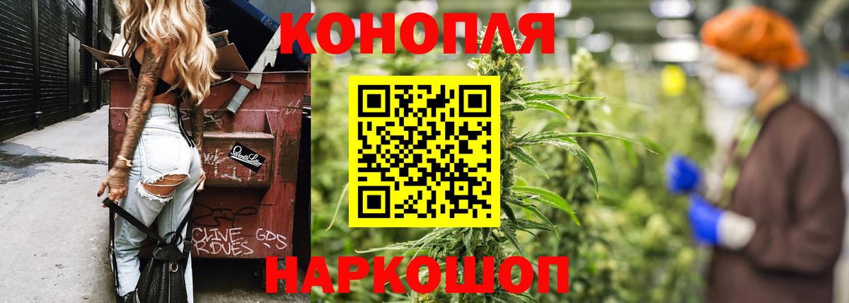 Конопля OG Kush  Вход с VPN  Бошки Шишки ГИДРОПОН  Рязань  Бошки Шишки планчик  Марихуана семена 